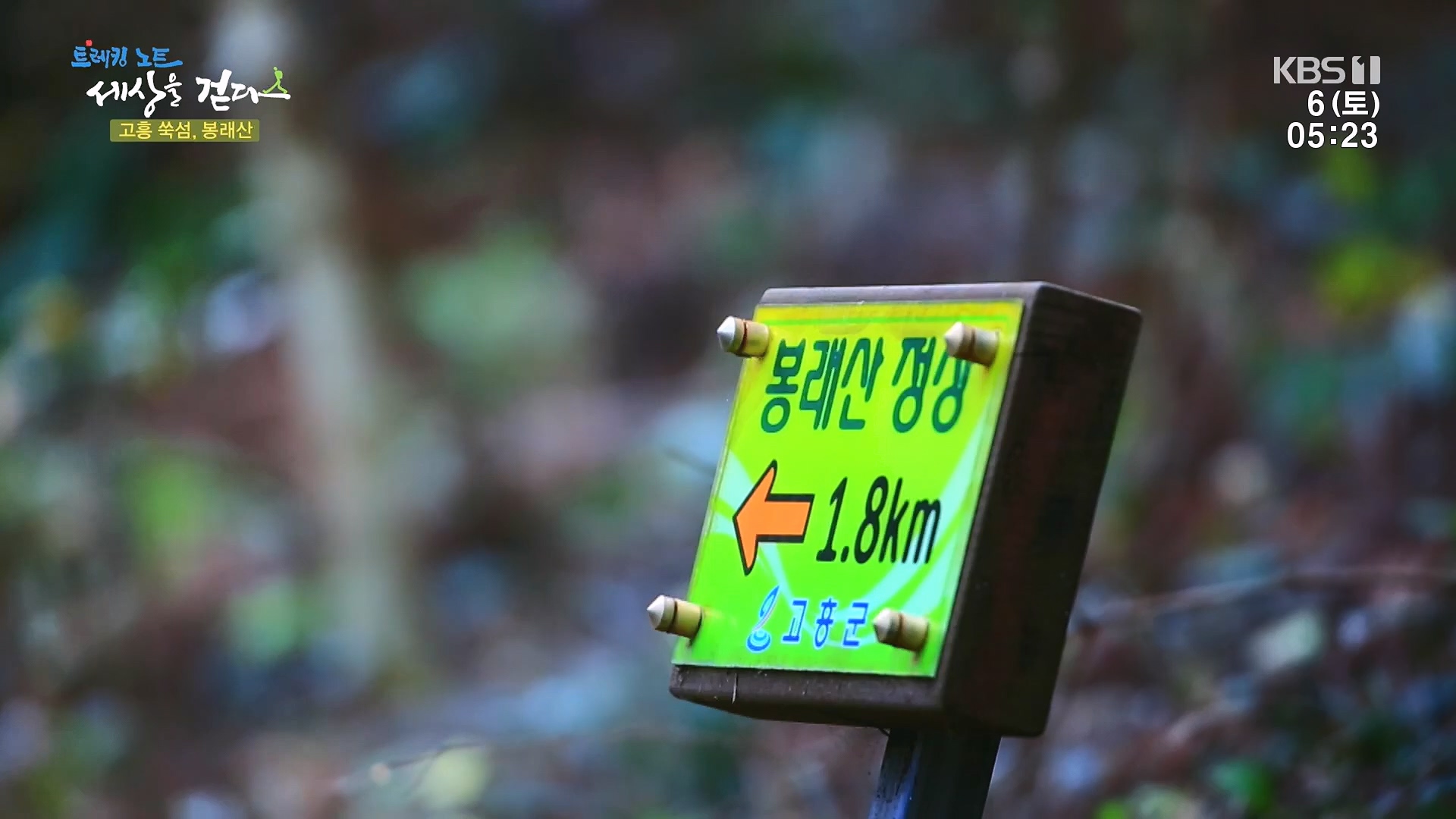 트레킹노트 세상을 걷다.E302.240106p.H264-F1RST.mp4_20240712_211019.718.jpg