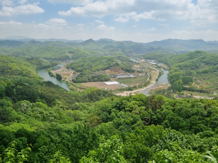 노루벌