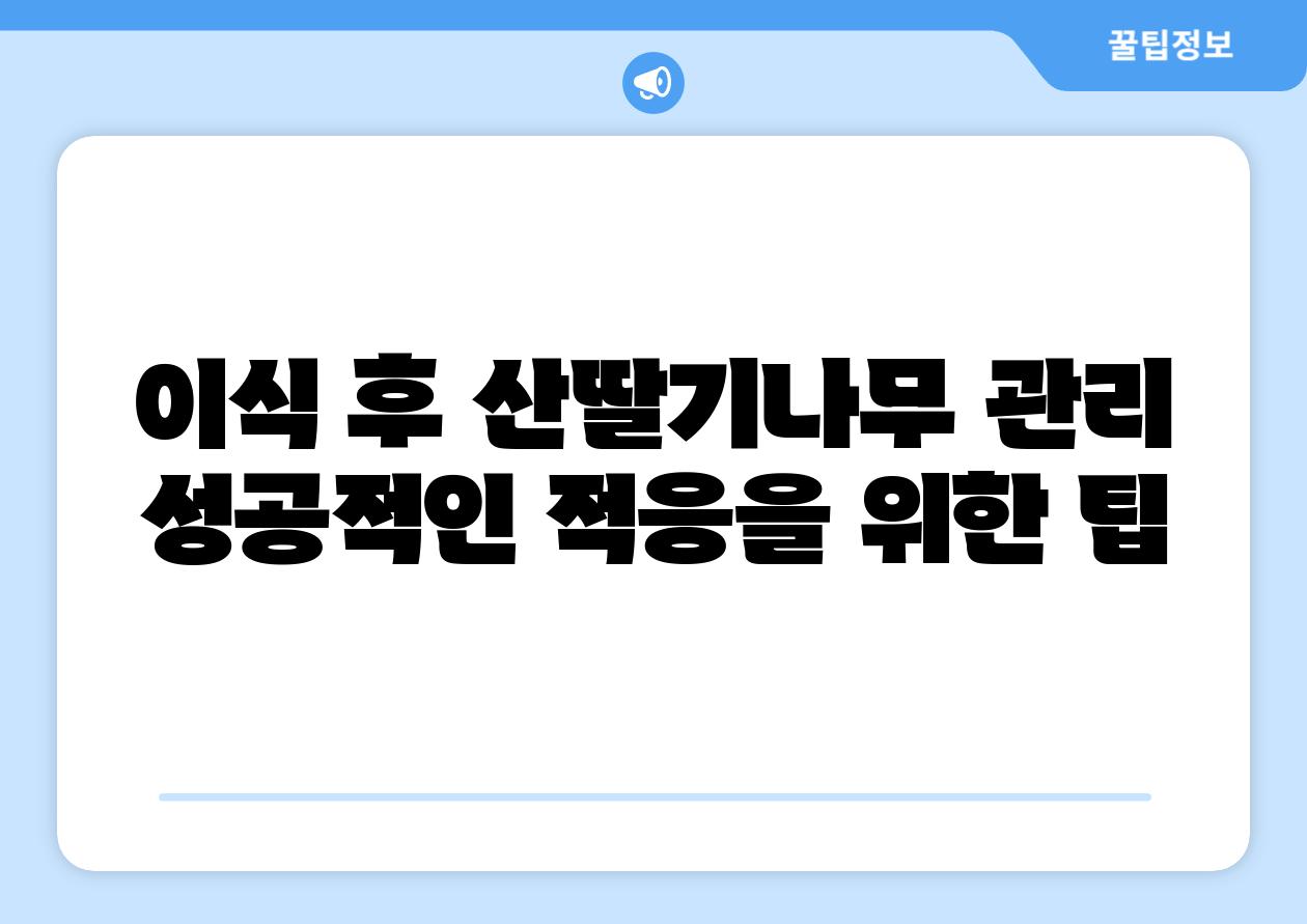 이식 후 산딸기나무 관리 성공적인 적응을 위한 팁