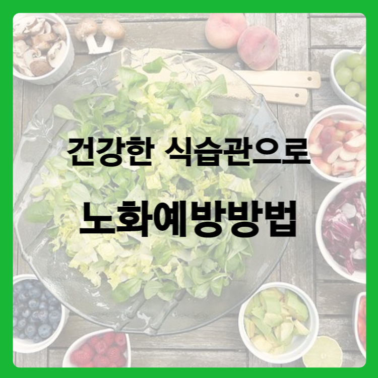 건강한 식습관으로 노화를 예방하는 방법