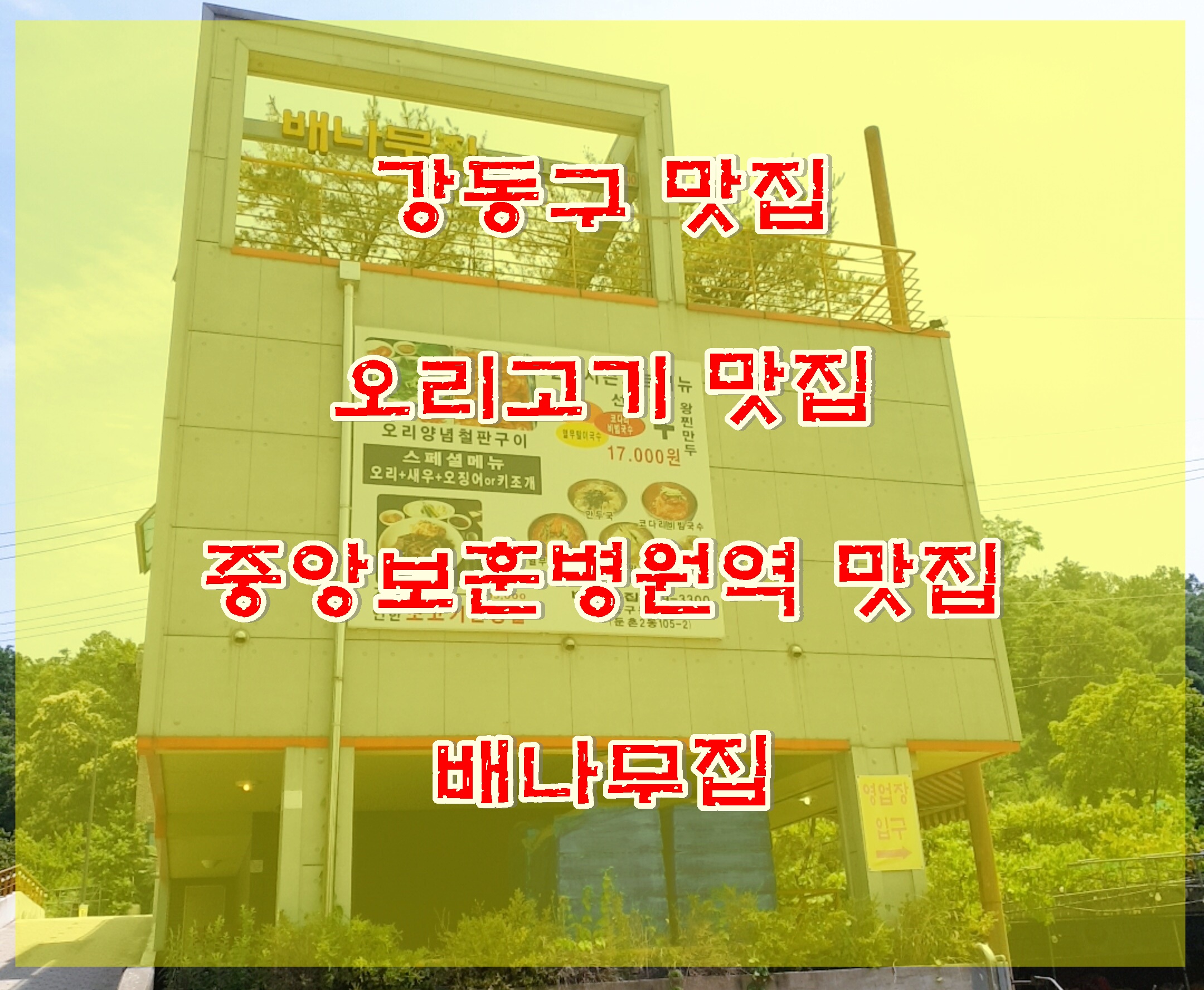 중앙보훈병원 맛집 강동구 오리맛집 서울데이트 추천 야외식당 배나무집 오리철판구이