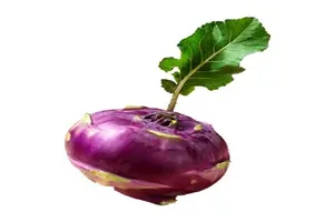 콜라비