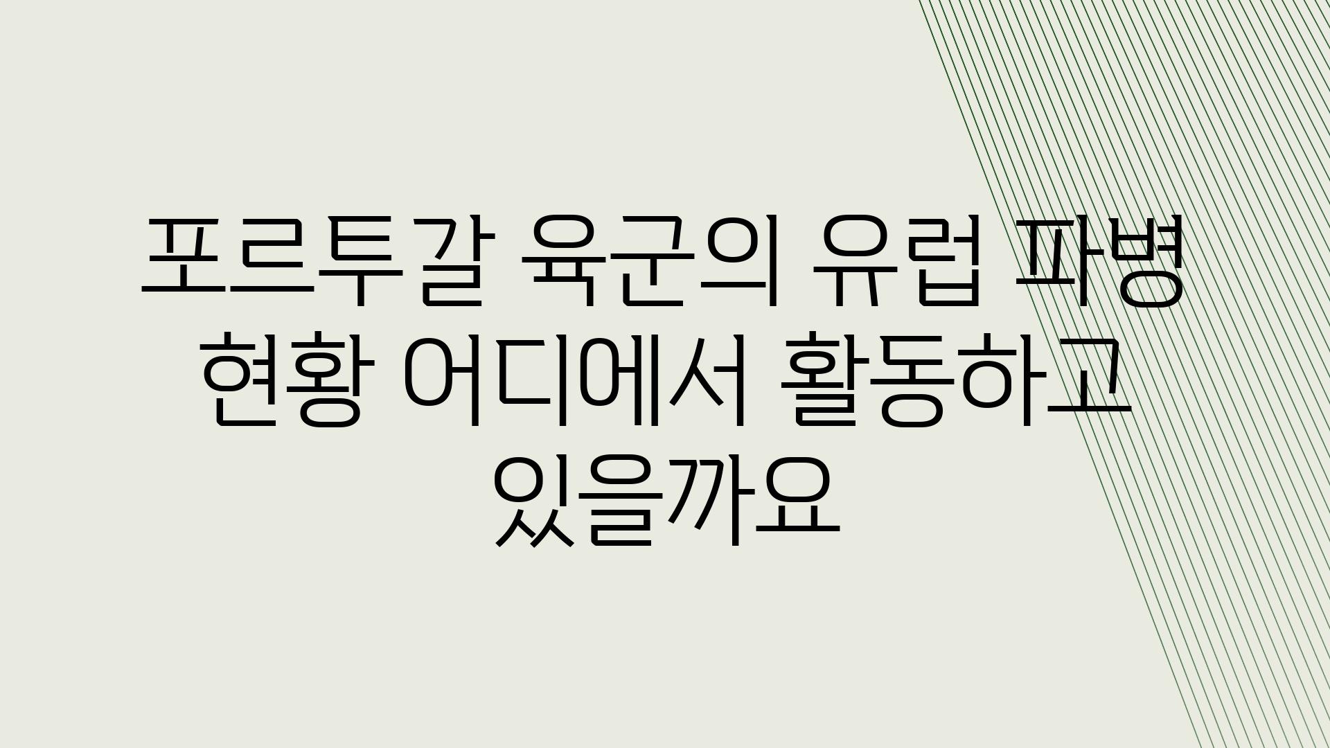 포르투갈 육군의 유럽 파병 현황 어디에서 활동하고 있을까요