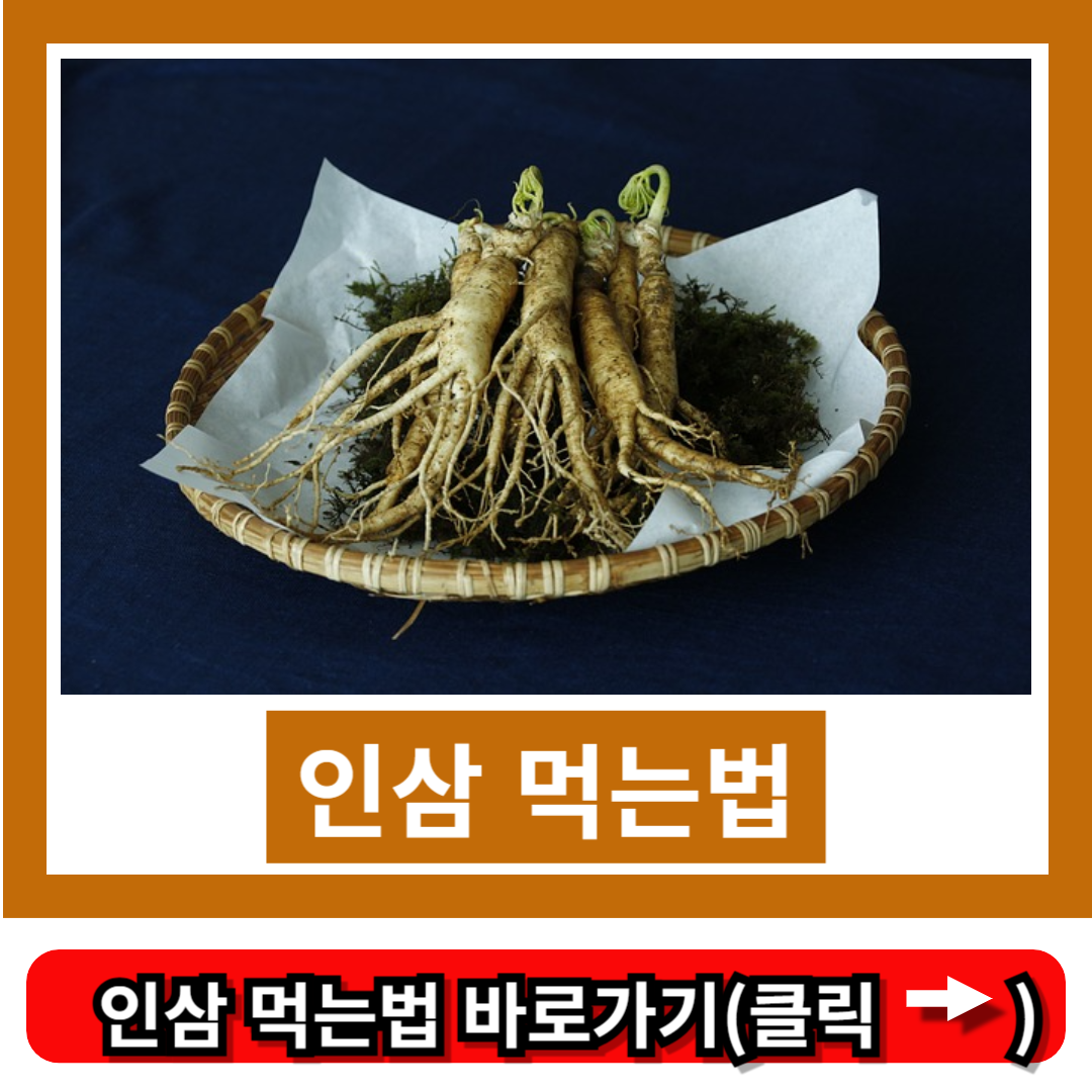 인삼 먹는법
