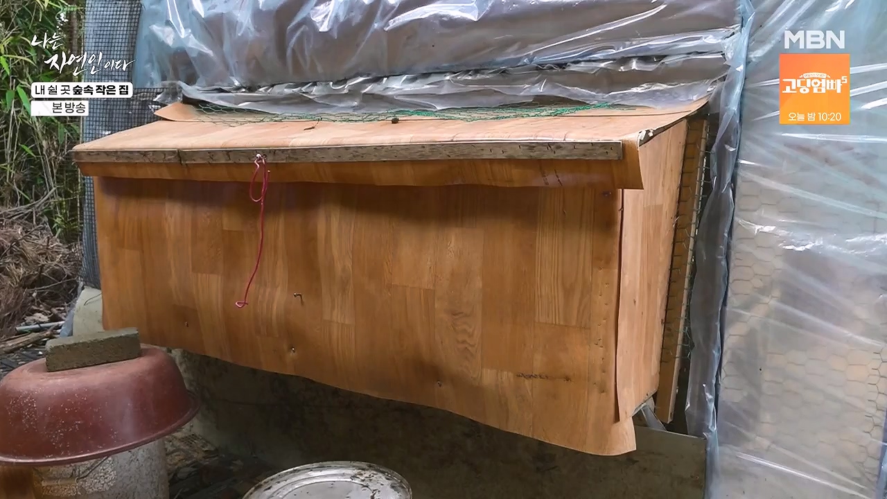 나는 자연인이다.E613.240711p-NEXT.mp4_20240711_195302.558.jpg