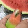 img.png
