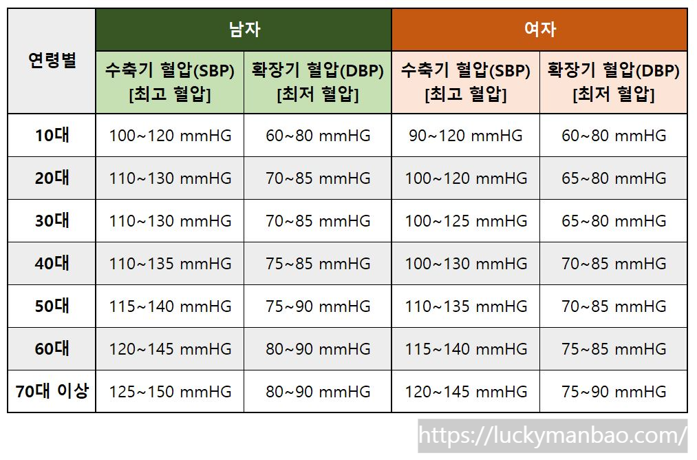 나이별 연령별 혈압 정상 수치