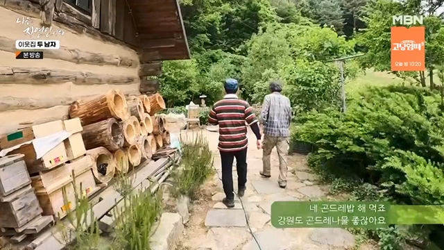 나는 자연인이다.E558.230615p-NEXT.mp4_20230615_200812.249.jpg