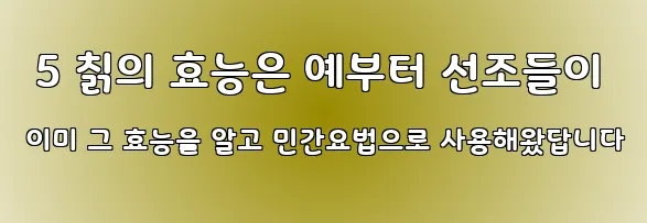  5 칡의 효능은 예부터 선조들이 이미 그 효능을 알고 민간요법으로 사용해왔답니다