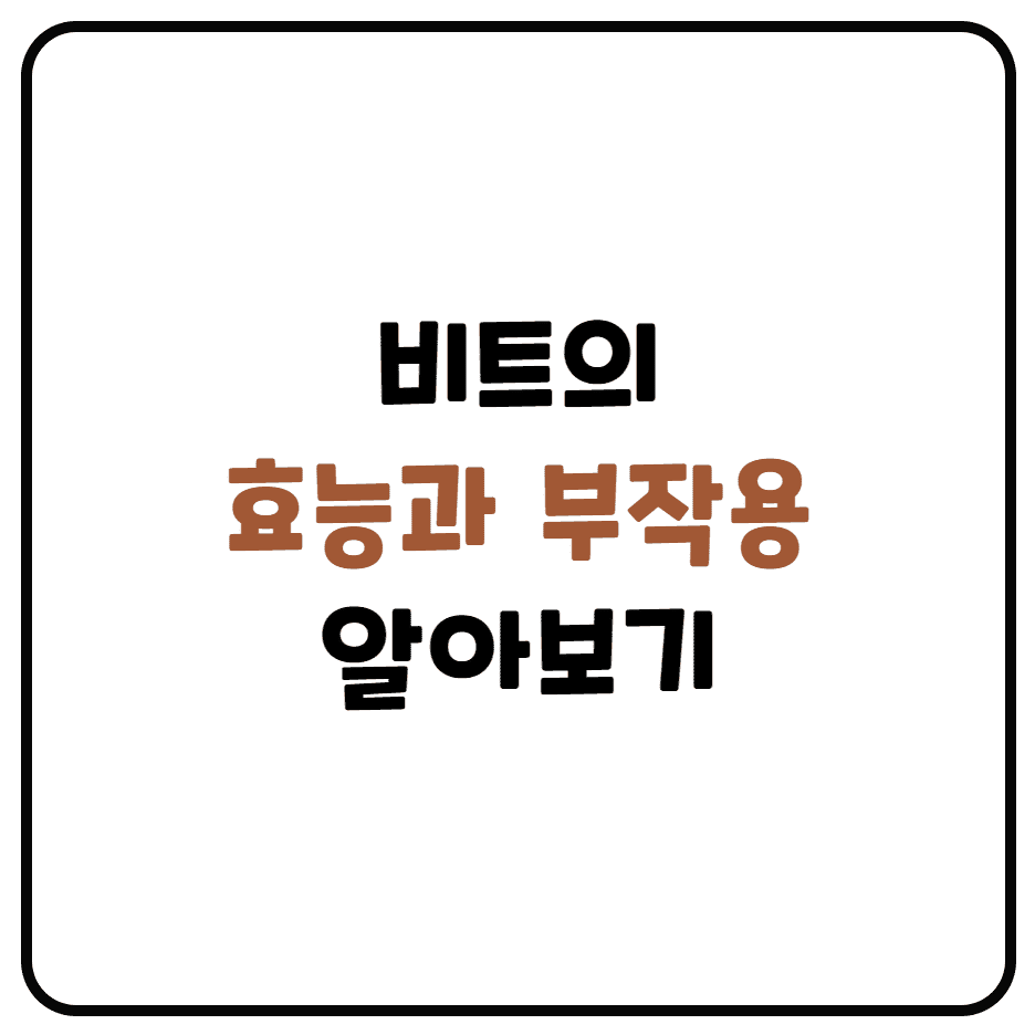  비트 효능과 부작용 정리