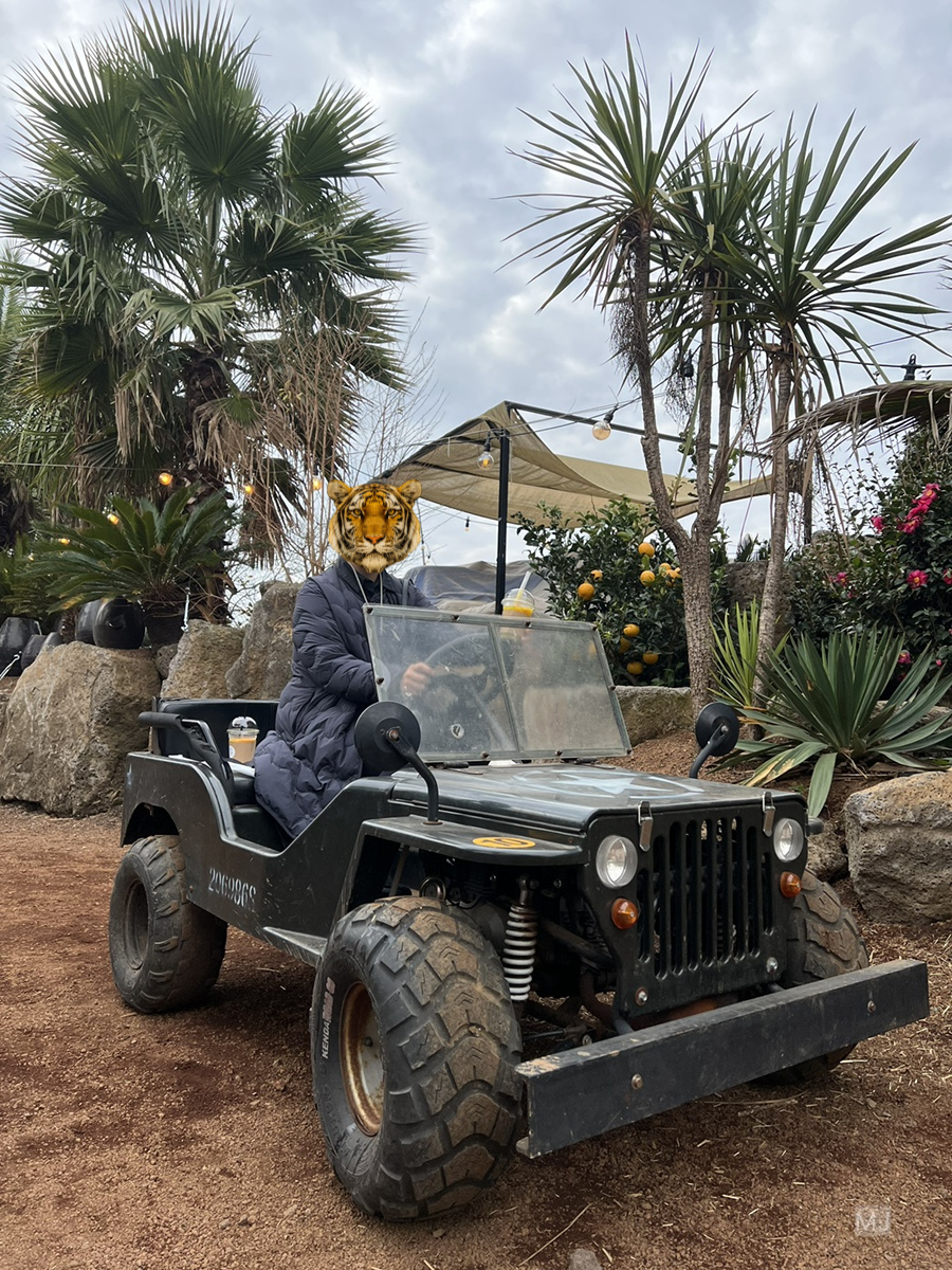 어린왕자 체험 in 감귤밭 카페 48