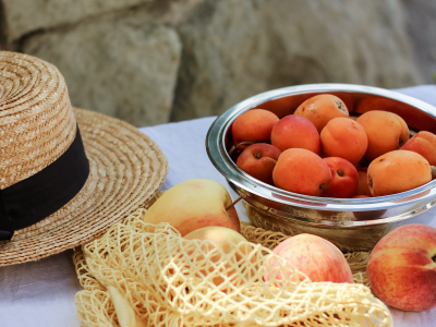 살구 효능 10가지 5