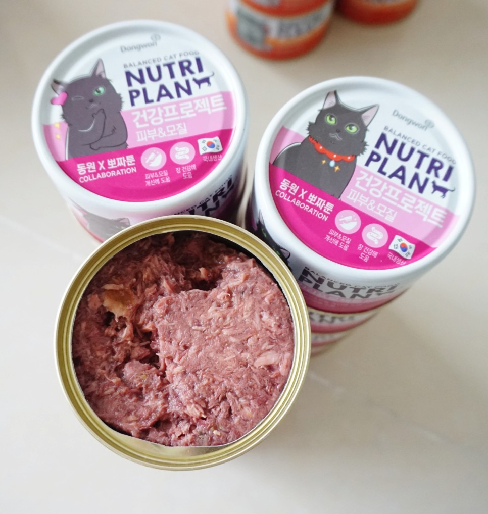 구냥이 고양이캔으로 네 건강관리해요 25