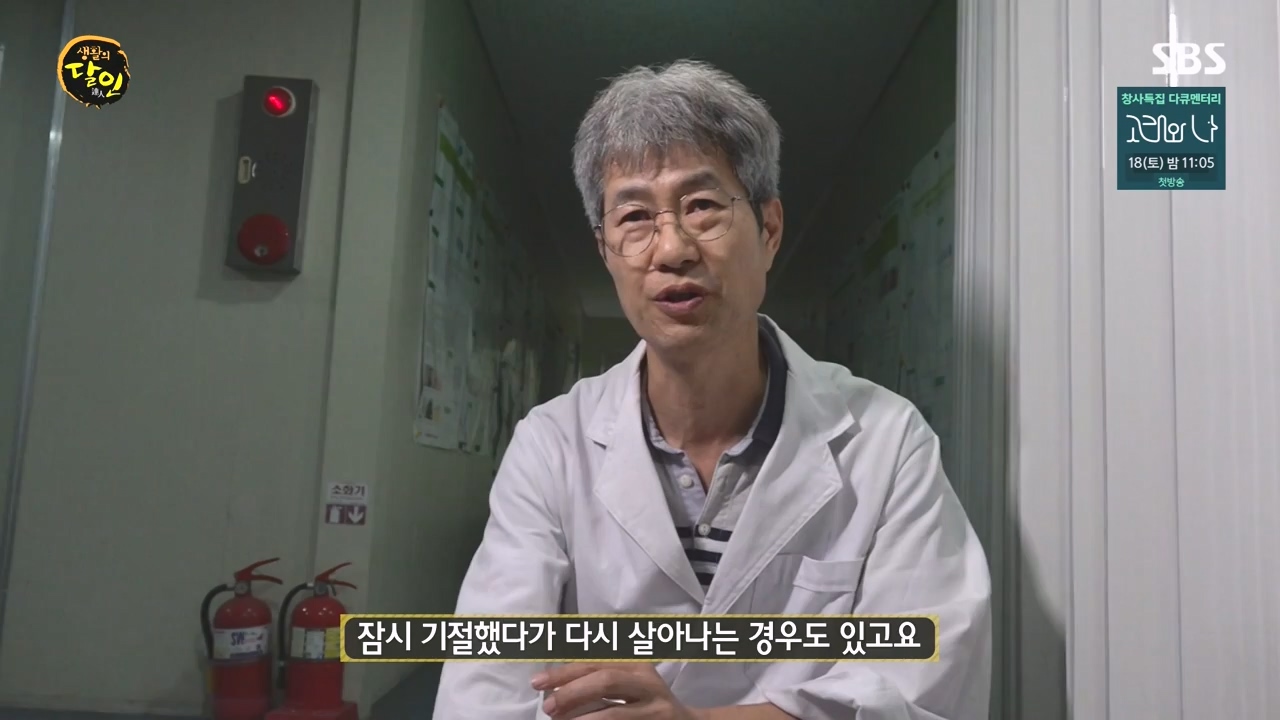 생활의 달인.E911.231114p-NEXT.mp4_20231114_201341.658.jpg