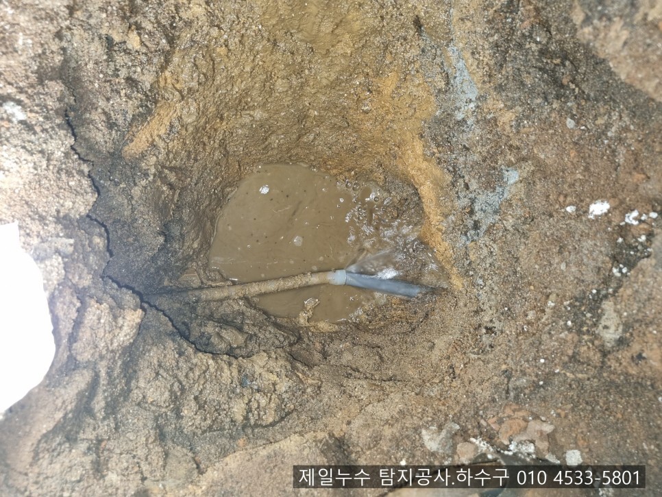  상주누수 제일누수 탐지공사.하수구 상주시 도남동 1층 단독주택 누수현장