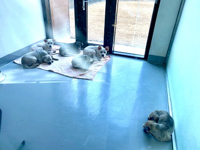 관리컨설팅 이미지