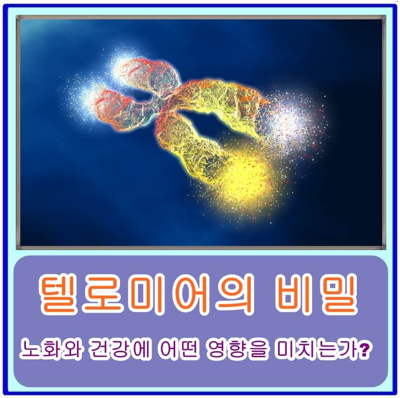  텔로미어의 비밀, 노화와 건강에 어떤 영향을 미치는가?