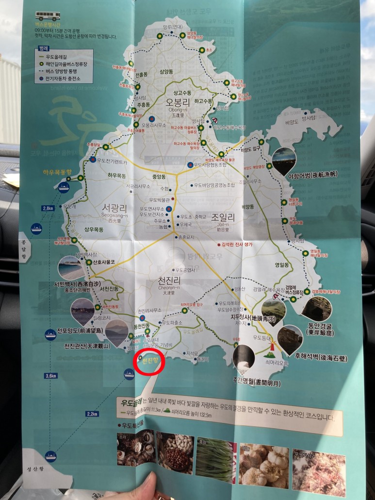 당일코스 임산부 렌터카 반입 [3박 4일 제주여행 삼일-1] 우도 29