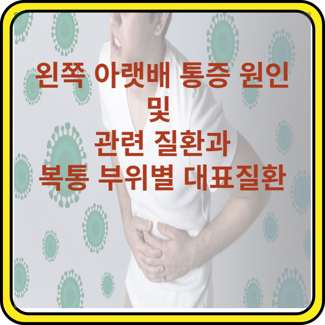 왼쪽 아랫배 통증원인 및 관련 질환