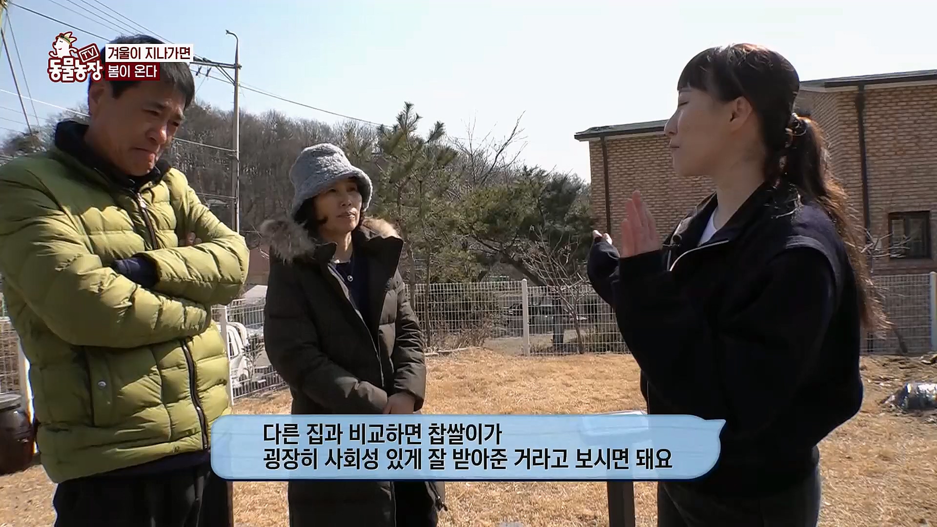 TV 동물농장.E1112.230319p.H264-F1RST.mp4_20230319_175200.790.jpg