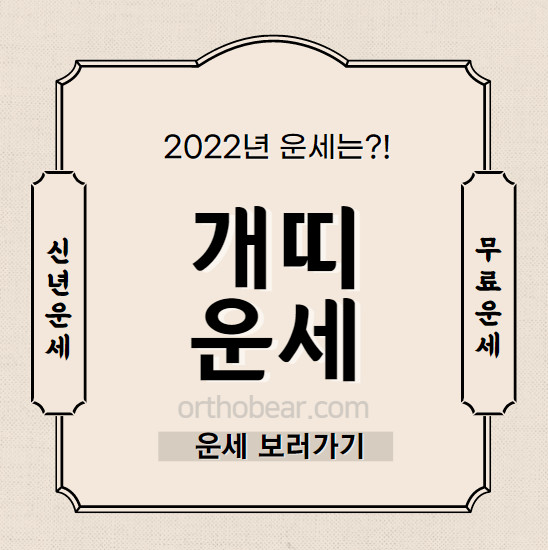 2022년 개띠 운세