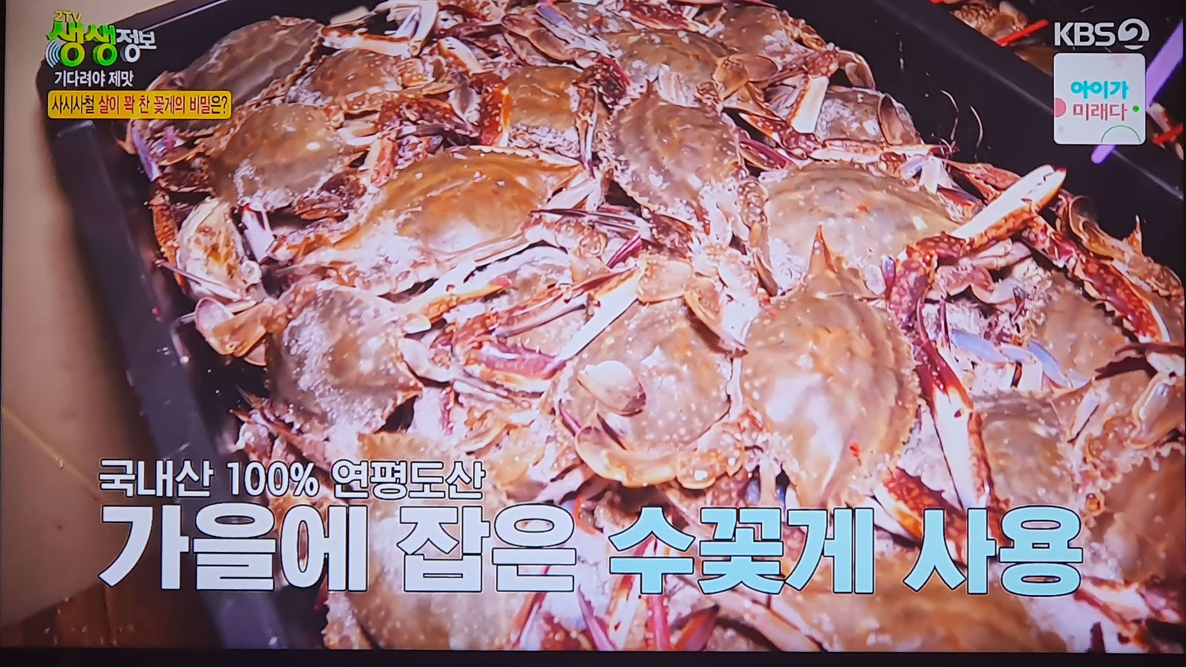 생생 정보통 맛집 맛의 비결