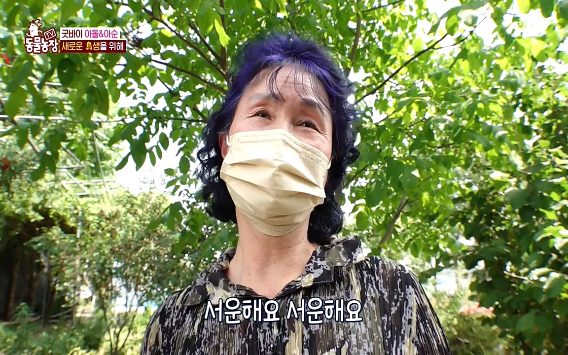 TV 동물농장.E1075.220627p-NEXT.mp4_20220626_175610.634.jpg