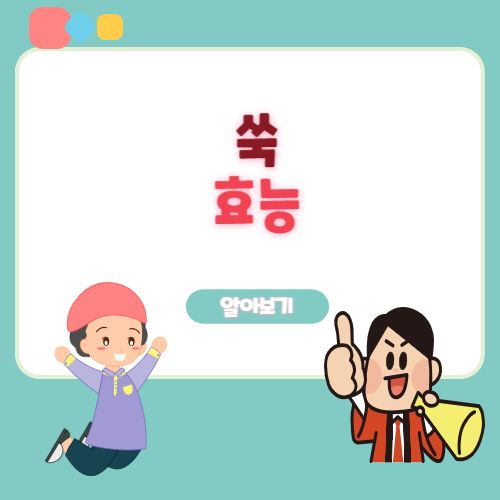 쑥 효능
