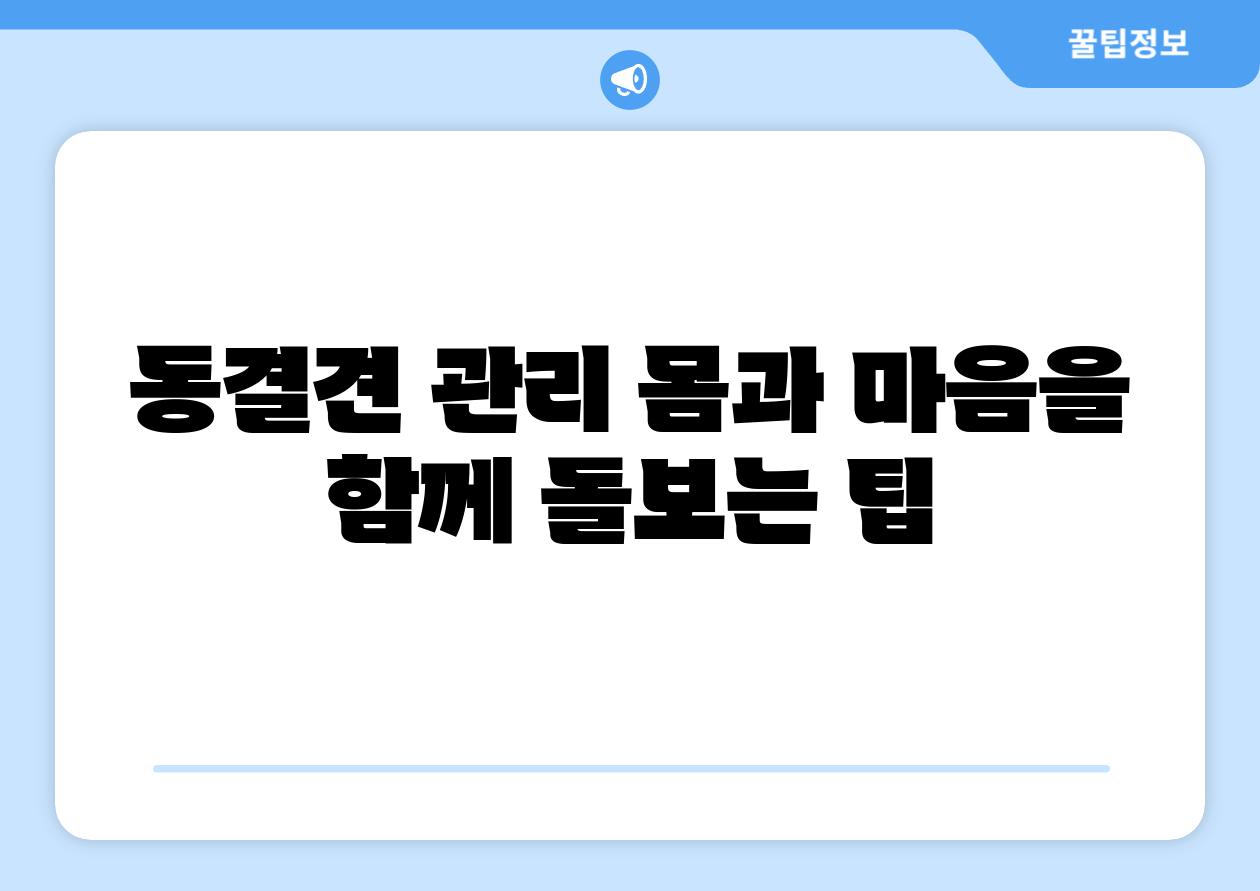 동결견 관리 몸과 마음을 함께 돌보는 팁
