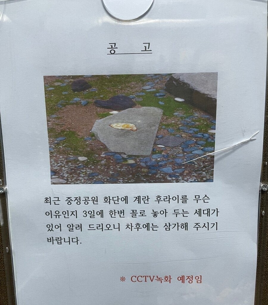 한국에서 발견된 SCP