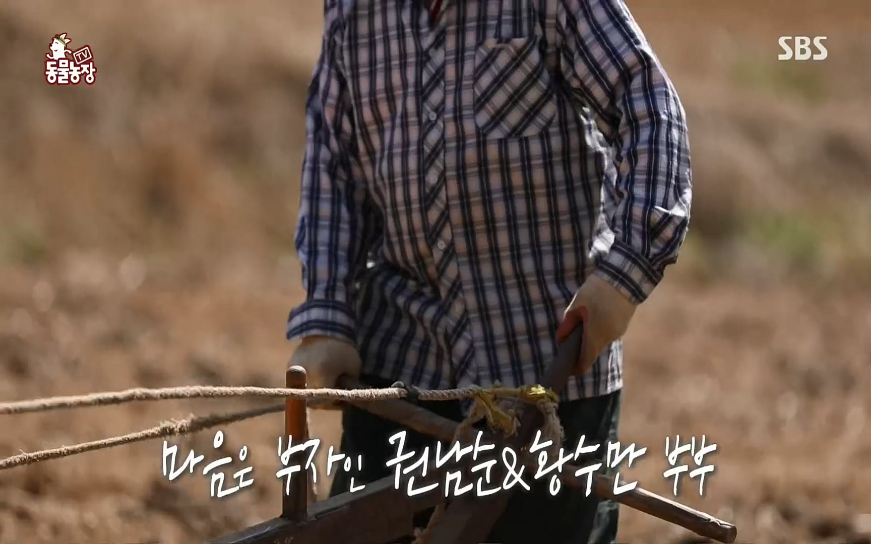 TV 동물농장.E1067.220501p.H264-F1RST.mp4_20220501_183338.333.jpg