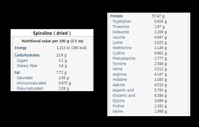 스피루리나 영양성분