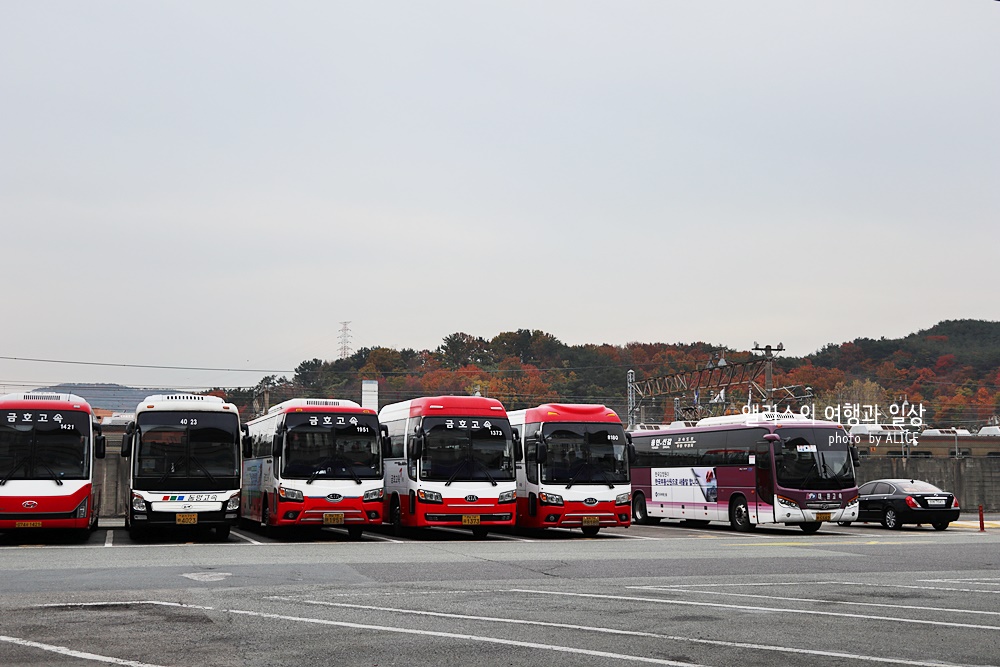 부산 - 경주 시외버스&#44; 고속버스 차이&#44; 터미널 위치