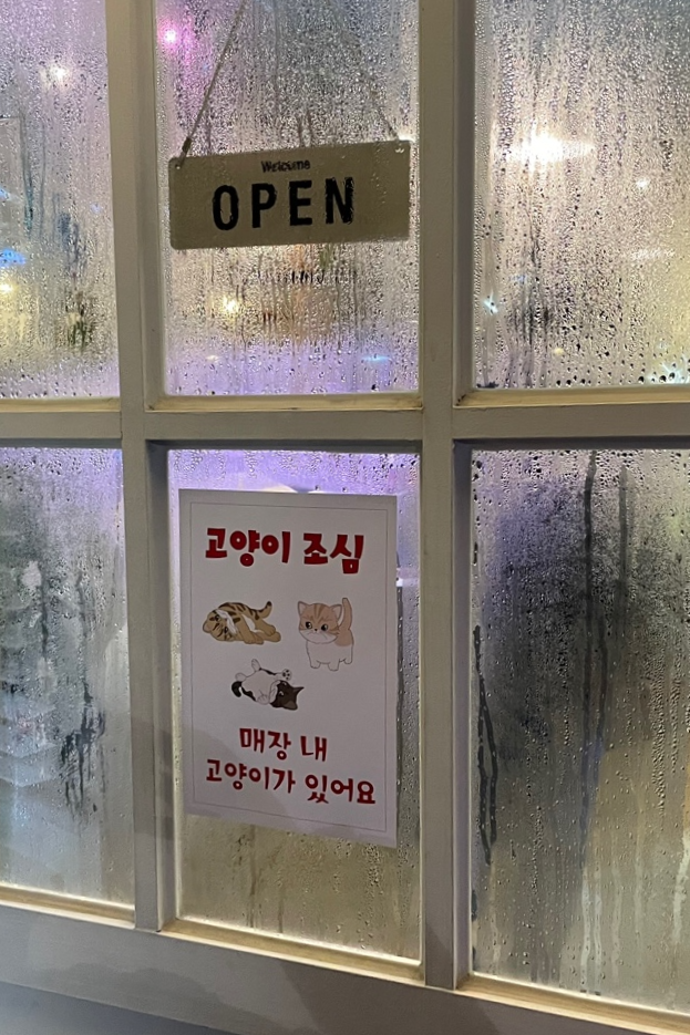 물고기와 고양이가 있는 카페