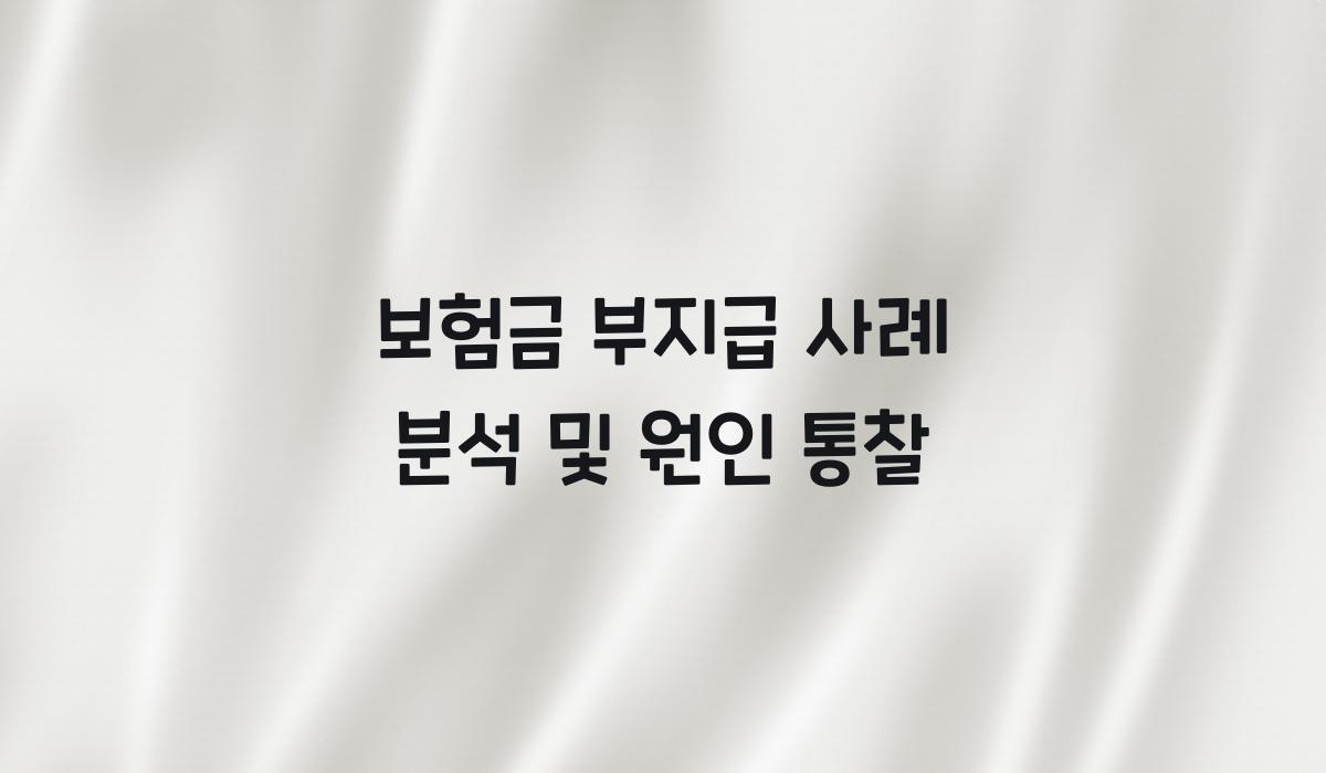 보험금 부지급 사례 분석
