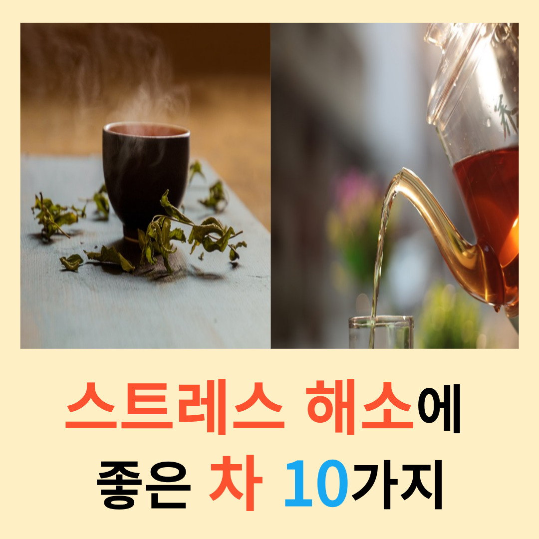스트레스-해소에-좋은-차-10가지