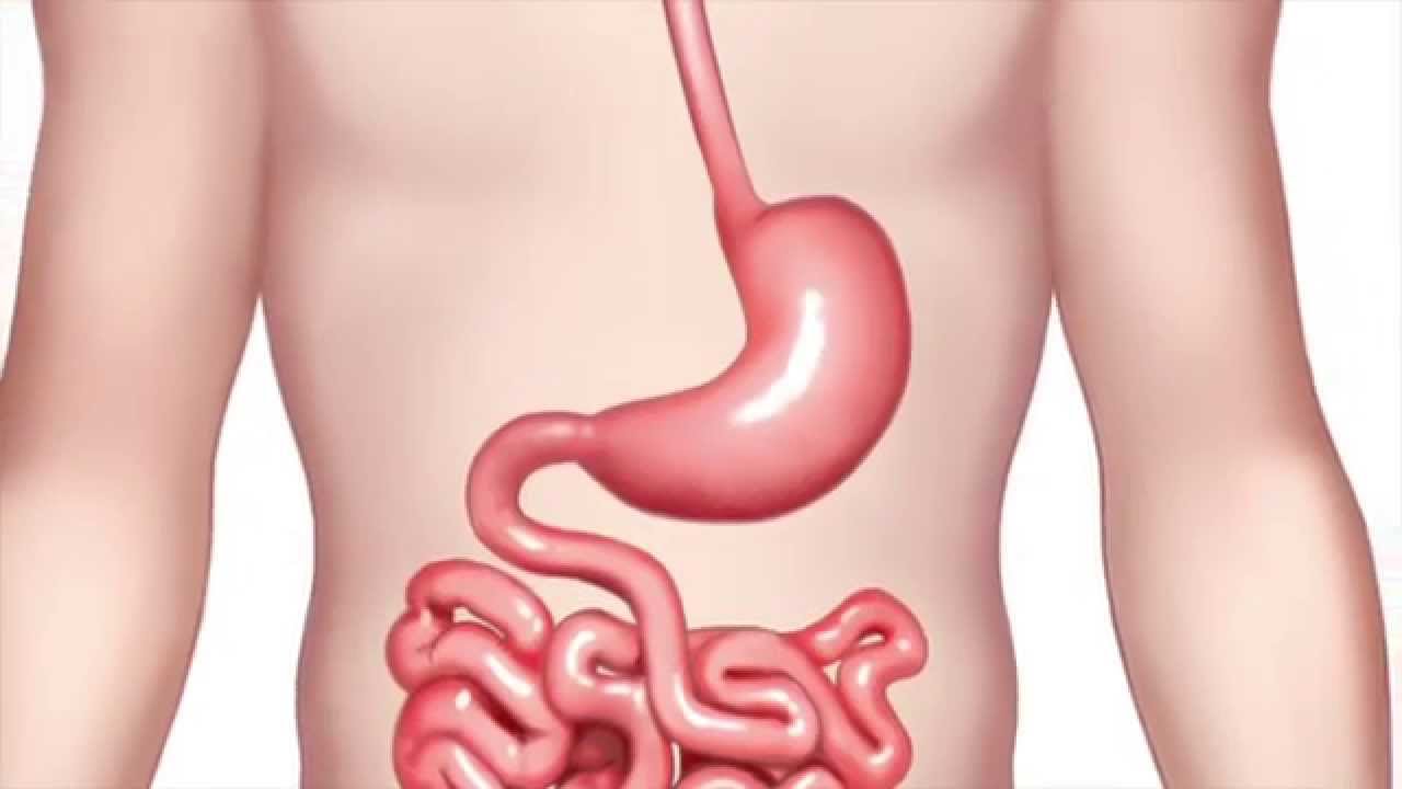  위에 좋은 음식 베스트