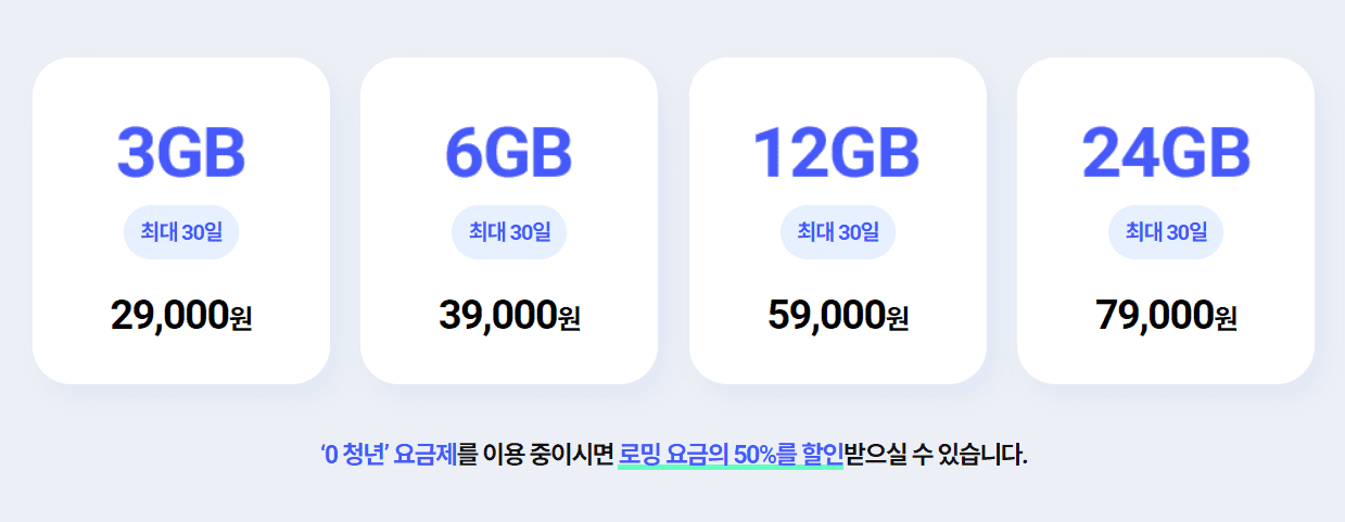 해외로밍사진