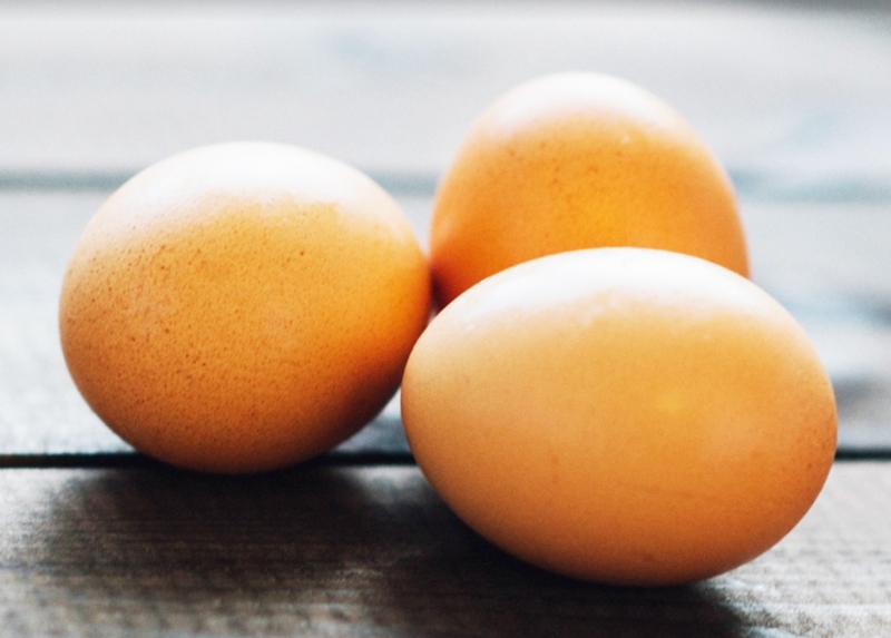 계란유골-pixabay