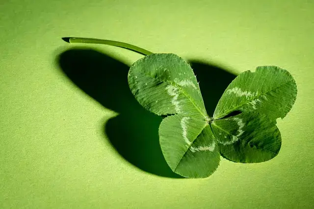 행운 이미지