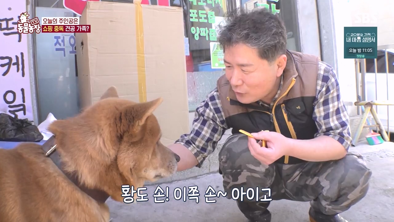 TV 동물농장.E1171.240513p-NEXT.mp4_20240512_163324.790.jpg