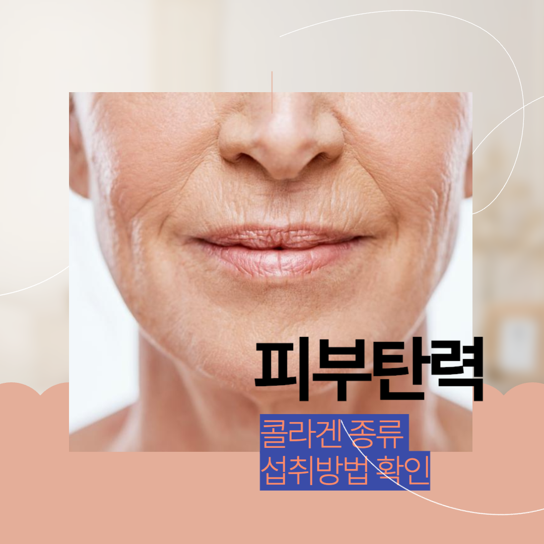  피부탄력을 높이는 콜라겐의 종류와 함께 먹으면 좋은 것들을 알아보자