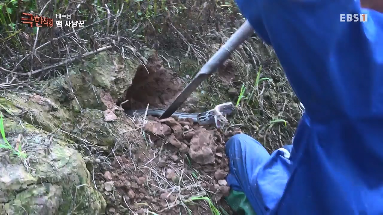 TV - 전 국민의 평생학교 EBS베트남 뱀 마을 사람들.mp4_20240615_170518.499.jpg