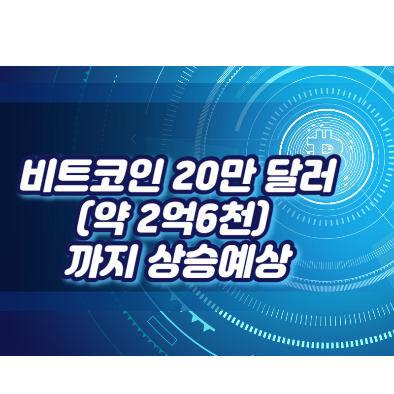 비트코인 20만 달러(약 2억6천) 까지 상승예상