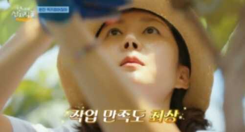 언니네산지직송몇부작