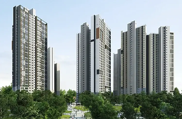 투시도