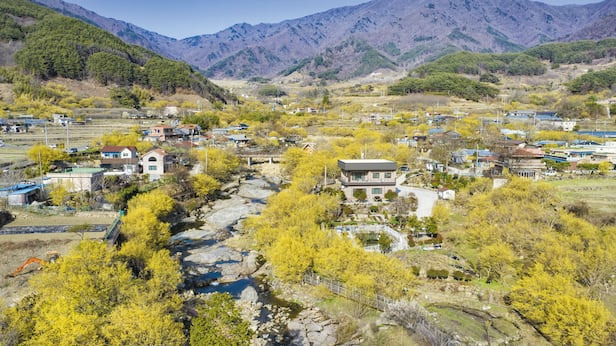 전남 구례 산수유 마을