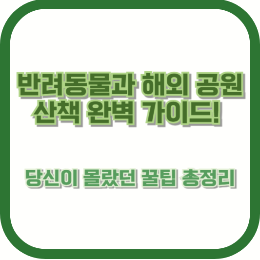 반려동물과 해외 공원 산책 완벽 가이드! 당신이 몰랐던 꿀팁 총정리