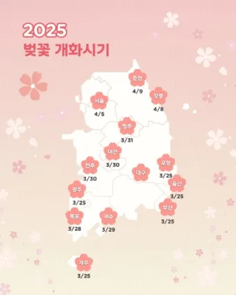 벚꽃 개화시기 2025년 지역별 모음_21