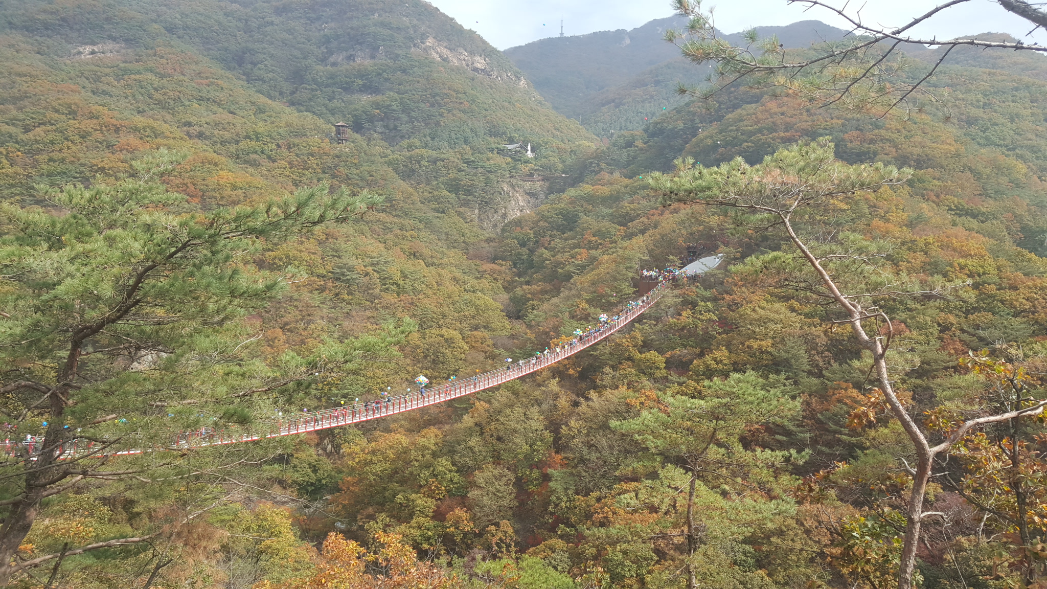  서울근교 단풍놀이(수도권 인근) 가볼만한곳 감악산 출렁다리